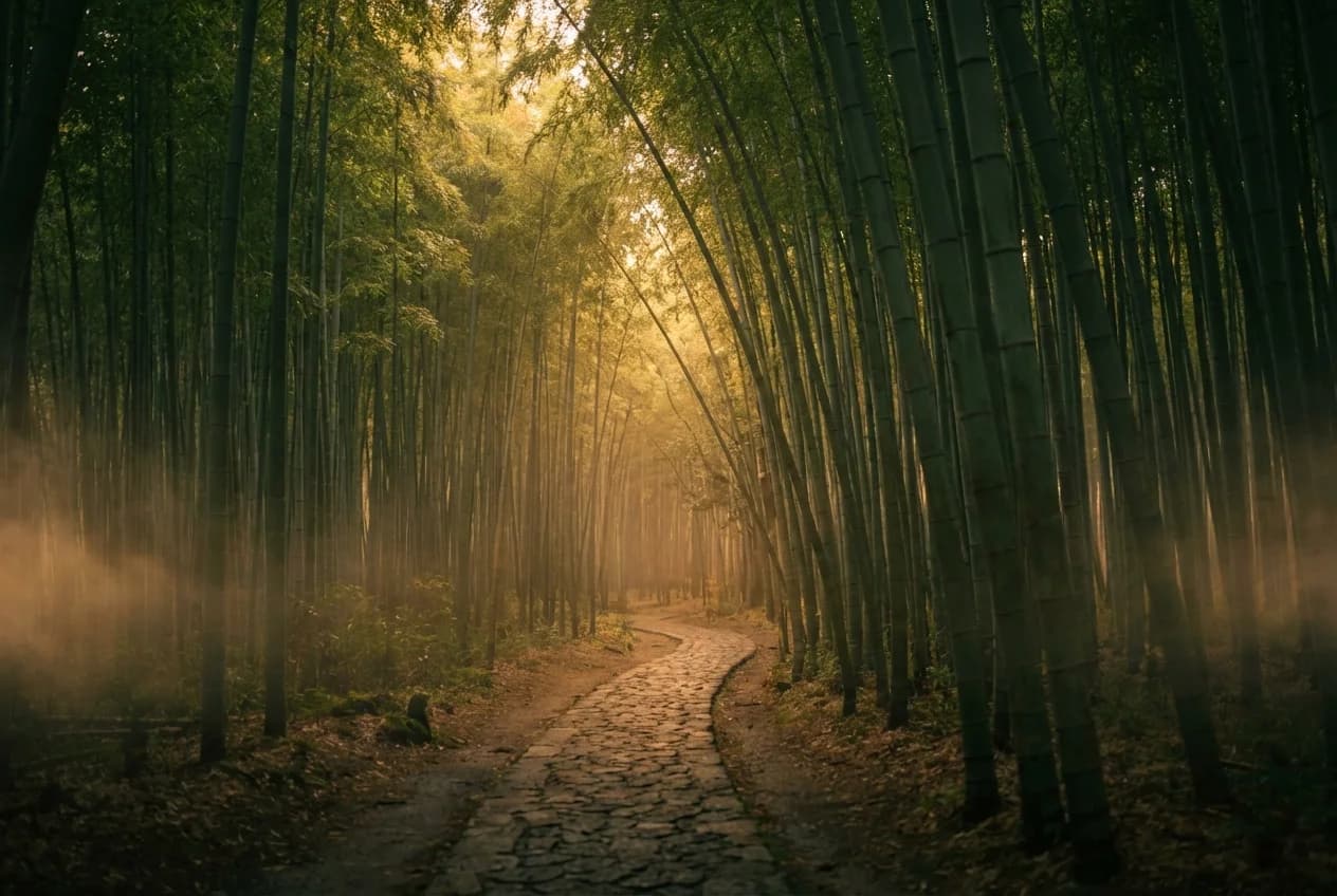 Nano Banana Pro render of Arashiyama